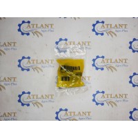 Plug (AR61533)