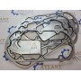 Прокладка теплообменника R132396 (R117060)