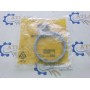 Кольцо R246194