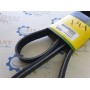 пас клиновый R500382