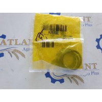 Кольцо R71732