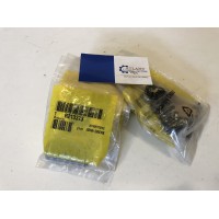 Пружина R213373